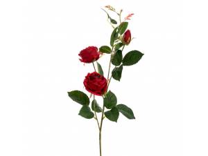  ΚΟΚΚΙΝΟ ΚΛΑΔΙ ΤΡΙΑΝΤΑΦΥΛΛΟ...