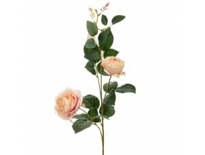  ΚΡΕΜ ΚΛΑΔΙ ΤΡΙΑΝΤΑΦΥΛΛΟ Χ3...