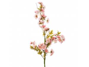  ΡΟΖ ΚΛΑΔΙ ΑΜΥΓΔΑΛΙΑ 85ΕΚ