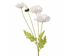  ΛΕΥΚΗ ΠΑΠΑΡΟΥΝΑ 63ΕΚ ΚΛΑΔΙ Χ4