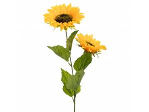  ΚΛΑΔΙ ΗΛΙΟΣ Χ2 65ΕΚ