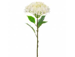  ΜΕΓΑΛΗ ΚΡΕΜ ΟΡΤΑΝΣΙΑ 110ΕΚ...