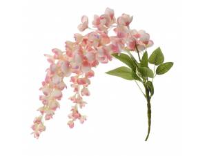  ΚΡΕΜΑΣΤΗ ΡΙΖΑ ΡΟΖ ΑΚΑΚΙΑ...