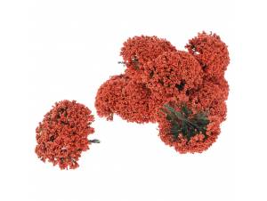  ΜΙΝΙ ΚΟΚΚΙΝΗ ΓΥΨΟΦΙΛΛΗ ΣΕΤ...