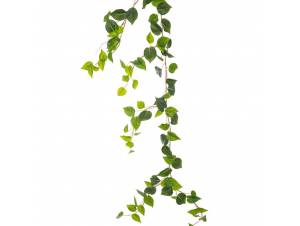  ΓΙΡΛΑΝΤΑ ΠΟΘΟΣ COATED...