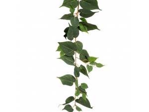  ΓΙΡΛΑΝΤΑ ΠΟΘΟΣ COATED 180ΕΚ