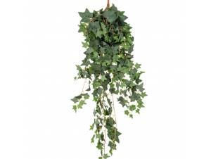  ΚΙΣΣΟΣ COATED ΚΡΕΜΑΣΤΗ...