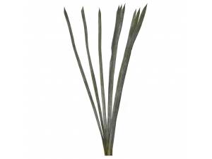  ΜΑΤΣΑΚΙ ΜΑΚΡΙΑ ΠΡΑΣΙΝΑ...