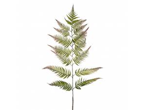  ΓΙΓΑΣ ΠΡΑΣΙΝΗ ΦΤΕΡΗ ΚΛΑΔΙ...