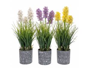  ΓΛΑΣΤΡΑΚΙ 13Χ52ΕΚ ΥΑΚΙΝΘΟΣ...