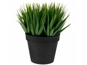  ΓΛΑΣΤΡΑΚΙ ΜΕ ΠΡΑΣΙΝΑΔΑ...