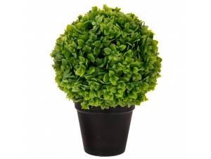  ΓΛΑΣΤΡΑΚΙ ΜΕ ΜΠΑΛΛΑ...