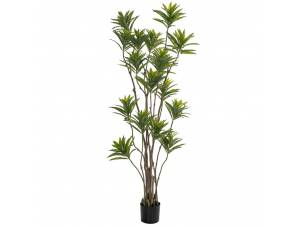  ΦΥΤΟ BAMBOO 180ΕΚ.ΣΕ ΜΑΥΡΗ...