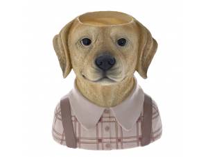 ΚΑΣΠΩ ΜΕ ΠΡΟΣΩΠΟ ΣΚΥΛΟΥ...