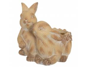 ΚΑΣΠΩ ΛΑΓΟΙ  ΑΠΟ...