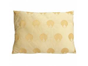 ΜΑΞΙΛΑΡΙ ΚΟΡΑΛΙΑ ΙΒΟΥΑΡ...