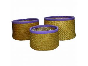 ΚΑΛΑΘΙ SEAGRASS ΛΙΛΑ...