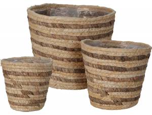 ΚΑΛΑΘΙ ΑΠΟ ΦΥΛΛΟ...