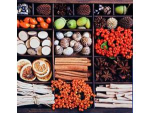 ΚΑΔΡΟ ΜΕ ΚΑΡΠΟΥΣ 50X50X2.5CM