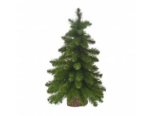 Πράσινο δένδρο σε ξύλινο...