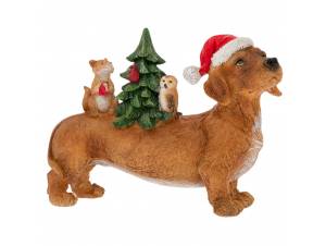 Καφέ πολυρεζίν σκύλος με...