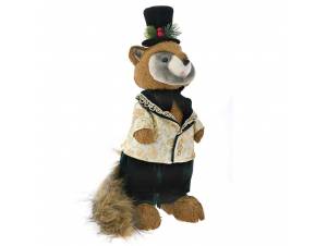 Πράσινο ρακούν με καπέλο...