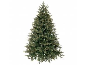Δέντρο FRASER FIR 210 εκ.