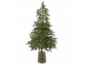 Δένδρο MOUNTAIN PINE 210EK...