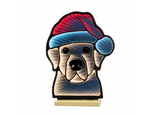 INFINITY φωτιζόμενο σκυλί...