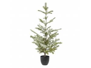 Χιονισμένο δέντρο σε...