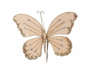 Σαμπανί βελούδινη πεταλούδα...