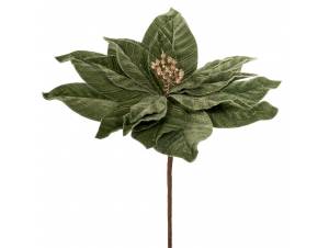 Πράσινο αλεξανδρινό πικ...