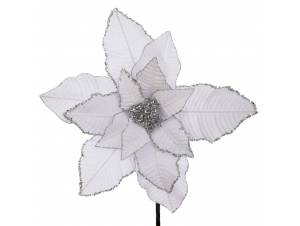 Λευκό αλεξανδρινό κλαδί...