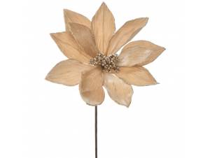 Σαμπανί αλεξανδρινό κλαδί...