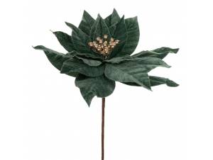 Πετρόλ αλεξανδρινό πικ...