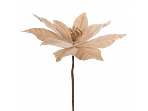 Σαμπανί αλεξανδρινό πικ...