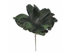 Πράσινη μανωλια πικ φ20x20 εκ.