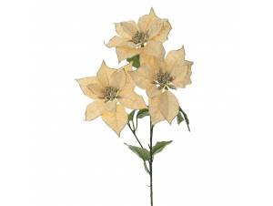 Κρεμ αλεξανδρινό κλαδί χ3...