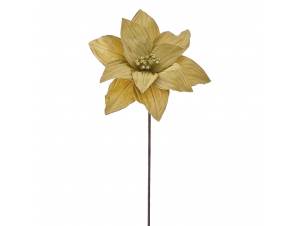 Χρυσό αλεξανδρινό κλαδί...