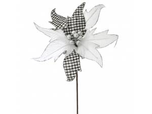 Λευκό αλεξανδρινό κλαδί 50...