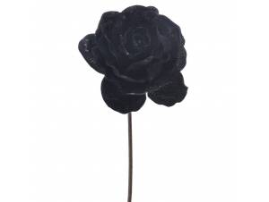 Τριαντάφυλλο μαύρο κλαδί...