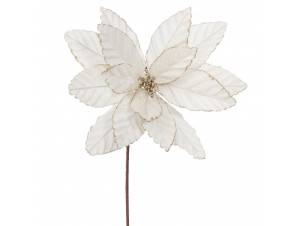 Ιβουάρ βελούδινο...