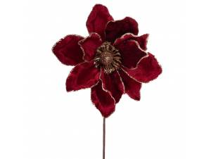 Μπορντό βελούδινη μανωλια...