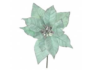 Μέντα αλεξανδρινό πικ 25 εκ.