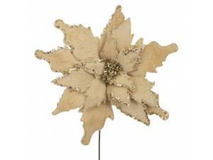 Χρυσό αλεξανδρινό κλαδί...