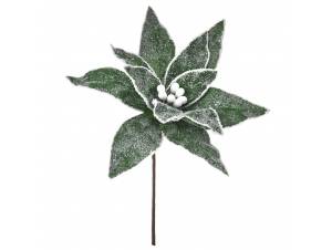 Αλεξανδρινό πράσινο...