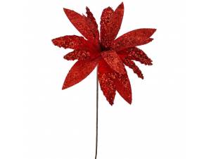 Αλεξανδρινό κόκκινο κλαδί...