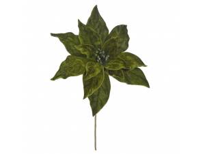 Πράσινο αλεξανδρινό πικ...