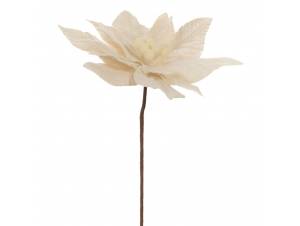 Λευκό αλεξανδρινό πικ 30x50...