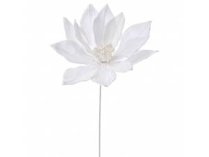 Λευκό αλεξανδρινό κλαδί...